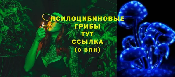 мяу мяу мука Алексин
